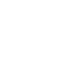 12 (1)